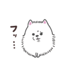 わんこの毎日スタンプ（個別スタンプ：7）