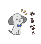 わんこの毎日スタンプ（個別スタンプ：13）