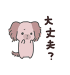 わんこの毎日スタンプ（個別スタンプ：17）
