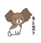 わんこの毎日スタンプ（個別スタンプ：19）