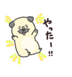 わんこの毎日スタンプ（個別スタンプ：20）