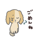 わんこの毎日スタンプ（個別スタンプ：21）