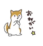 わんこの毎日スタンプ（個別スタンプ：22）