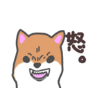 わんこの毎日スタンプ（個別スタンプ：23）