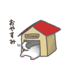 わんこの毎日スタンプ（個別スタンプ：26）