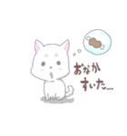 わんこの毎日スタンプ（個別スタンプ：27）
