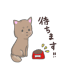 わんこの毎日スタンプ（個別スタンプ：28）