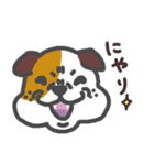 わんこの毎日スタンプ（個別スタンプ：30）