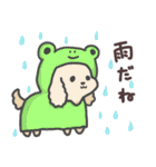 わんこの毎日スタンプ（個別スタンプ：34）
