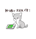 わんこの毎日スタンプ（個別スタンプ：36）