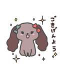わんこの毎日スタンプ（個別スタンプ：40）