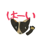 マスダカルシの犬猫スタンプ（個別スタンプ：31）