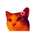 猫味（個別スタンプ：6）