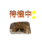 ☆☆my family☆☆（個別スタンプ：8）