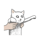 余分な長い猫（個別スタンプ：1）