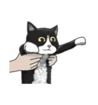 余分な長い猫（個別スタンプ：7）