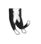 余分な長い猫（個別スタンプ：9）