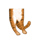 余分な長い猫（個別スタンプ：15）