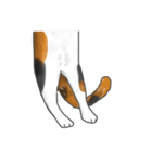 余分な長い猫（個別スタンプ：21）