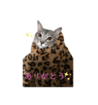 てとてとてちてち♥︎（個別スタンプ：7）