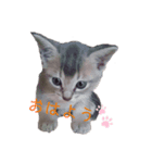 てとてとてちてち♥︎（個別スタンプ：8）