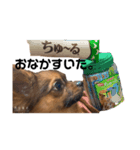 かんちゃんすたんぷ！（個別スタンプ：3）