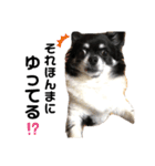 日常で使えるねねちゃん。（個別スタンプ：6）