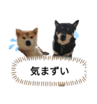 サスケ＆はる（個別スタンプ：4）