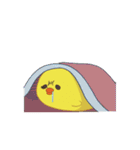 クセのあるヒヨコ達（個別スタンプ：16）