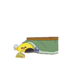 クセのあるヒヨコ達（個別スタンプ：17）