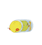 クセのあるヒヨコ達（個別スタンプ：33）