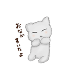 ふわ猫（個別スタンプ：3）