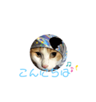 ソラののんびりスタンプその2（個別スタンプ：6）