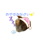 ソラののんびりスタンプその2（個別スタンプ：8）