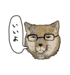 チベスナスタンプ（個別スタンプ：1）