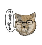 チベスナスタンプ（個別スタンプ：2）