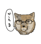 チベスナスタンプ（個別スタンプ：3）