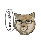 チベスナスタンプ（個別スタンプ：4）