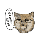 チベスナスタンプ（個別スタンプ：5）