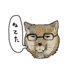 チベスナスタンプ（個別スタンプ：6）