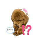 もこちゃん2（個別スタンプ：2）