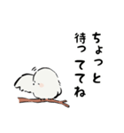 ずんぐりむっくりな小鳥さん（個別スタンプ：29）