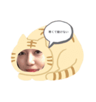 Aoi’s original stamps（個別スタンプ：4）
