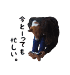 だいず兄弟（個別スタンプ：7）
