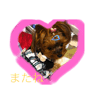 うちの愛犬ベールちゃん（個別スタンプ：7）