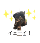 石川スタンプやで！（個別スタンプ：6）