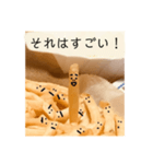 ポテトくんの喜怒哀楽。（個別スタンプ：2）