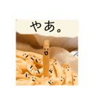 ポテトくんの喜怒哀楽。（個別スタンプ：3）