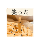 ポテトくんの喜怒哀楽。（個別スタンプ：4）