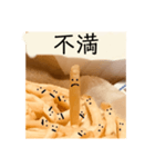 ポテトくんの喜怒哀楽。（個別スタンプ：5）